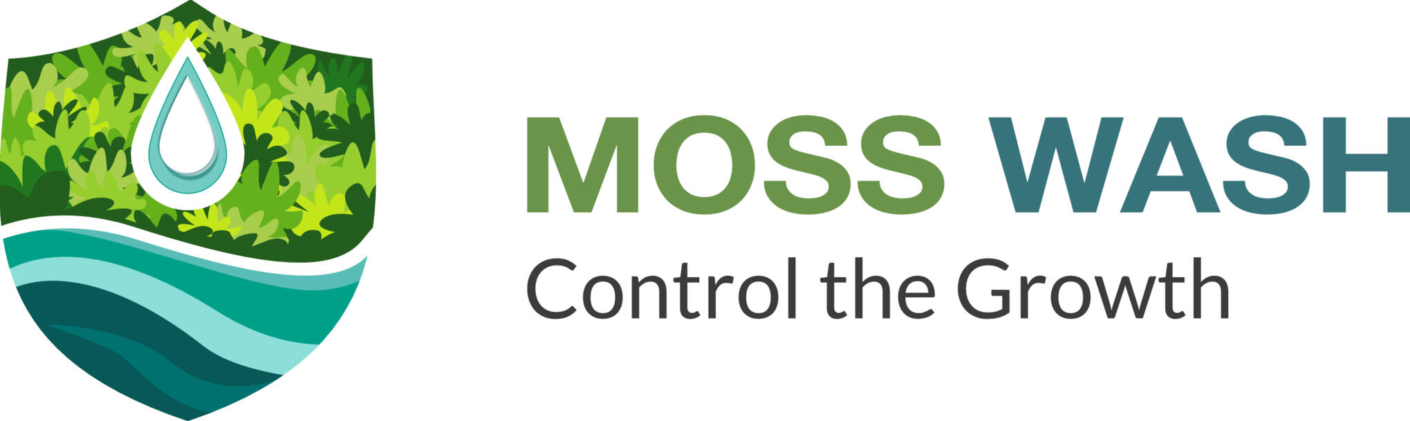 Moss Wash - Control the Growth